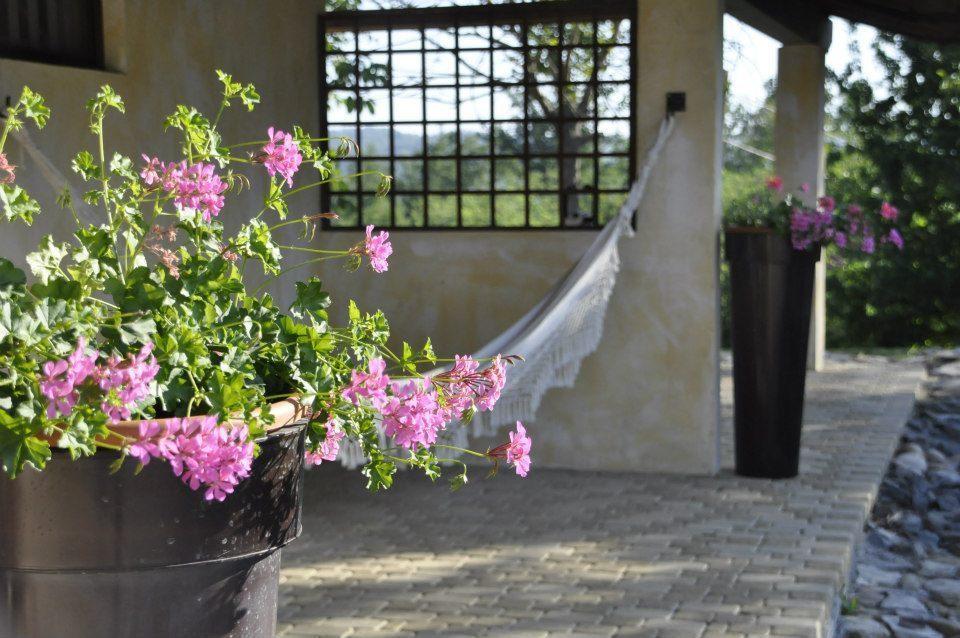Bed and Breakfast Premiata Osteria Dei Fiori Cortiglione Номер фото